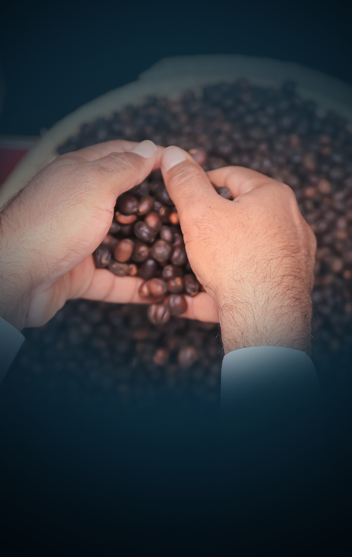 معرض القهوة والشوكولاتة